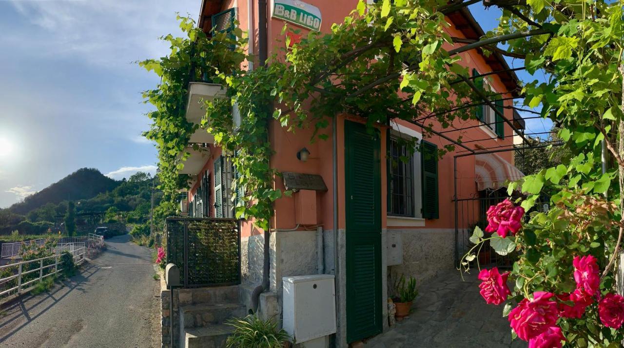 Bed and Breakfast Ligo Вилланова-д'Альбенга Экстерьер фото